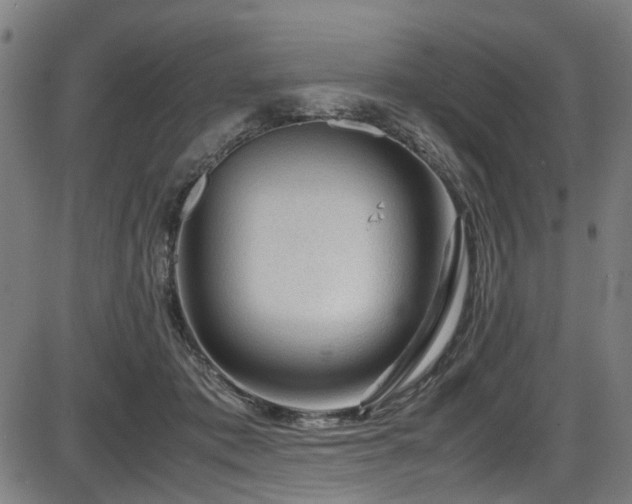 X0000087640413200705031515