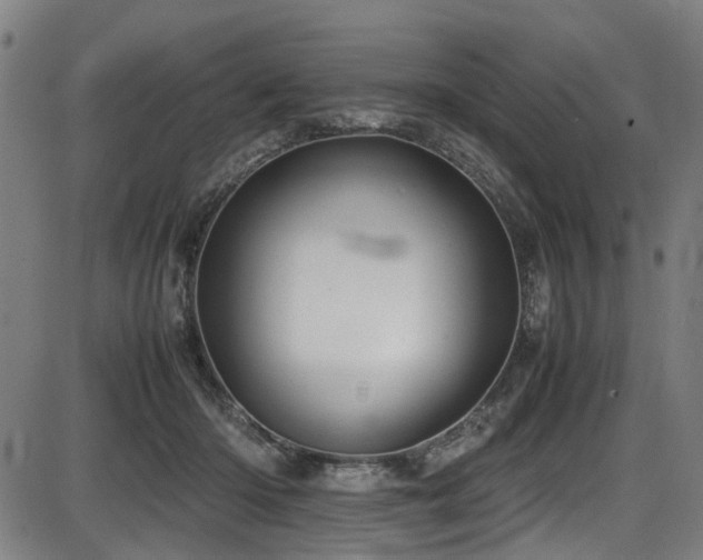 X0000087640414200705031515