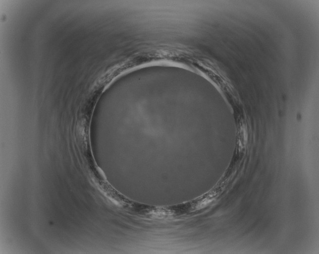 X0000087640415200705031515