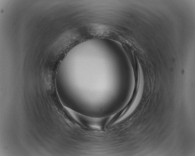 X0000087640416200705031515