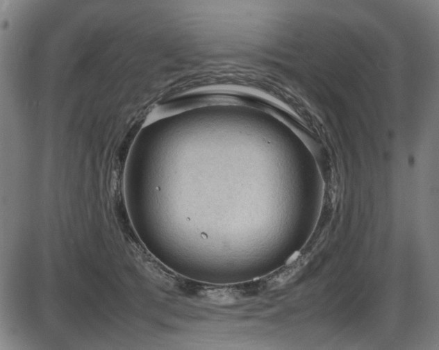 X0000087640417200705031515