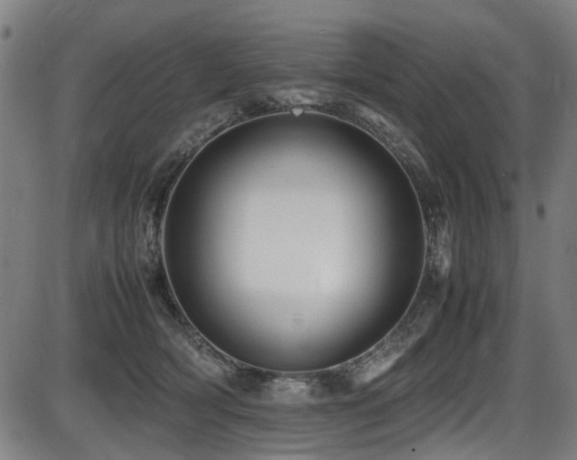 X0000087640418200705031515