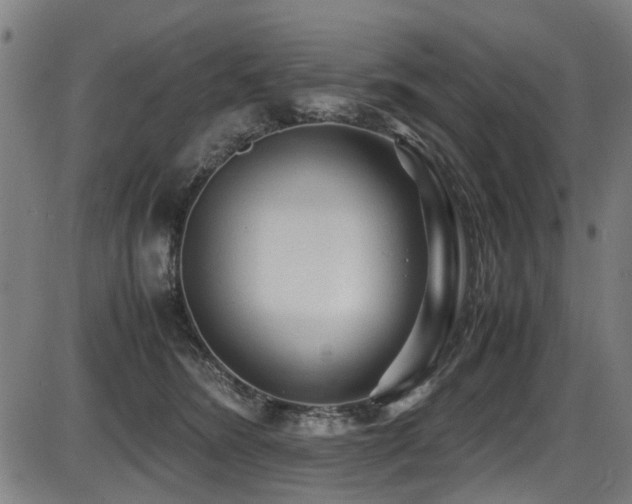 X0000087640420200705031515