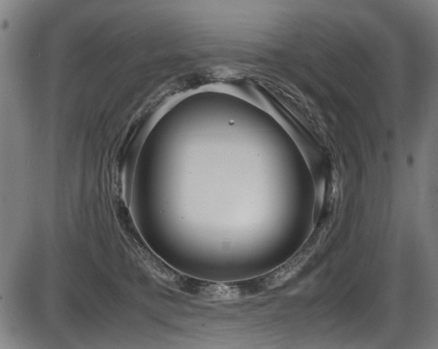 X0000087640421200705031515