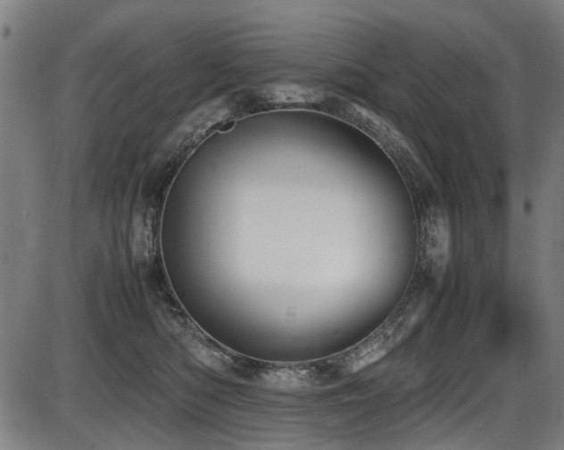 X0000087640422200705031515