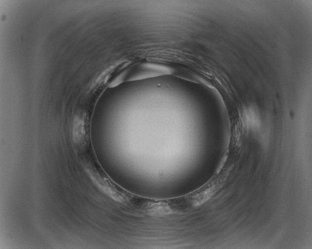 X0000087640424200705031515