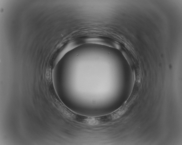 X0000087640425200705031515