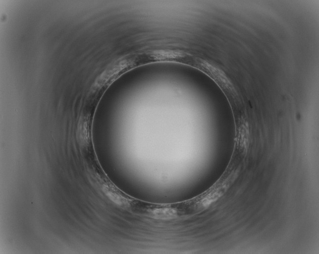 X0000087640426200705031515