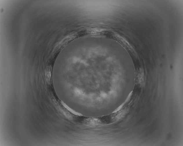 X0000087640427200705031515