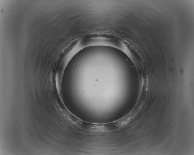 X0000087640428200705031515