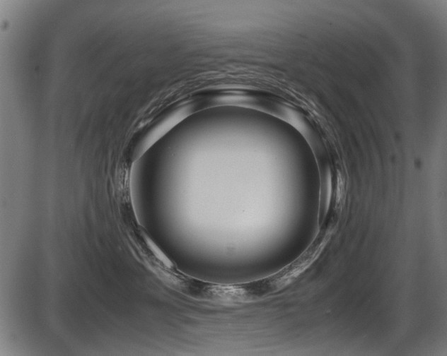 X0000087640429200705031515