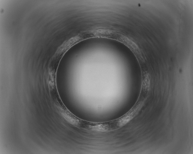 X0000087640430200705031515