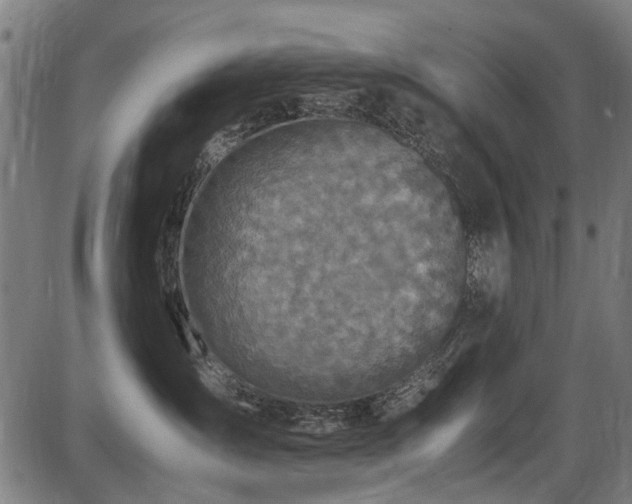 X0000087640431200705031515