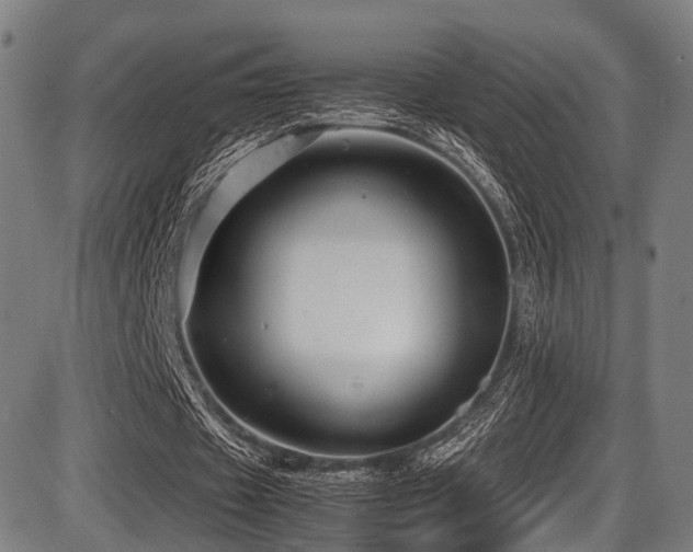 X0000087640433200705031514