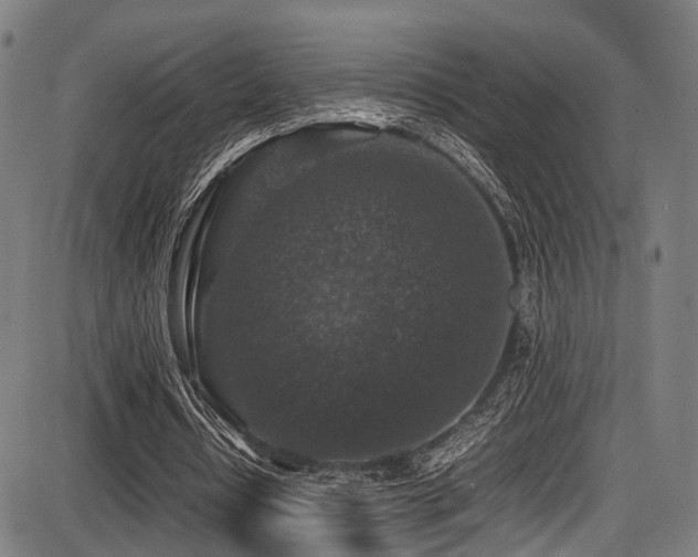 X0000087640434200705031514