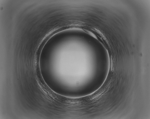 X0000087640435200705031514