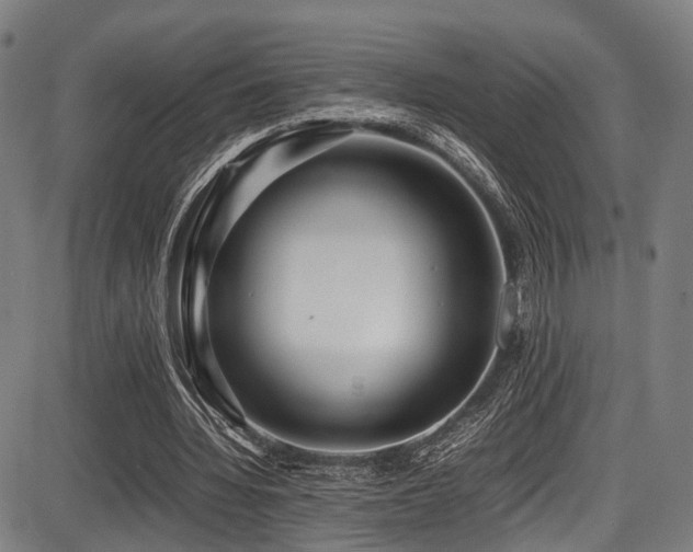 X0000087640436200705031514