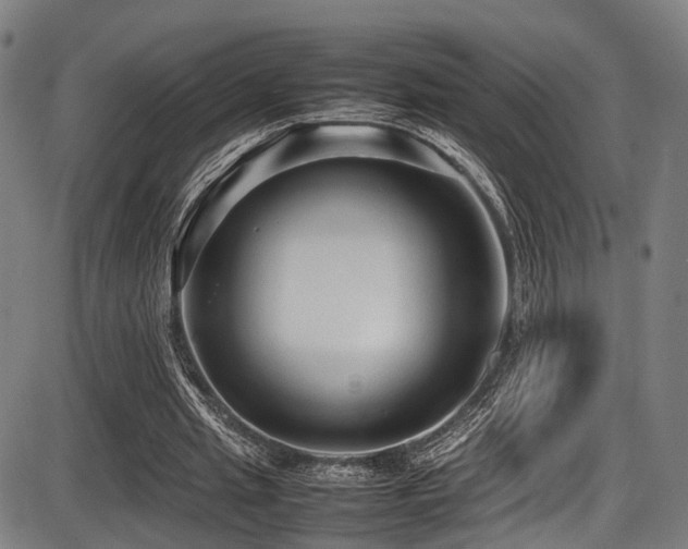 X0000087640437200705031514