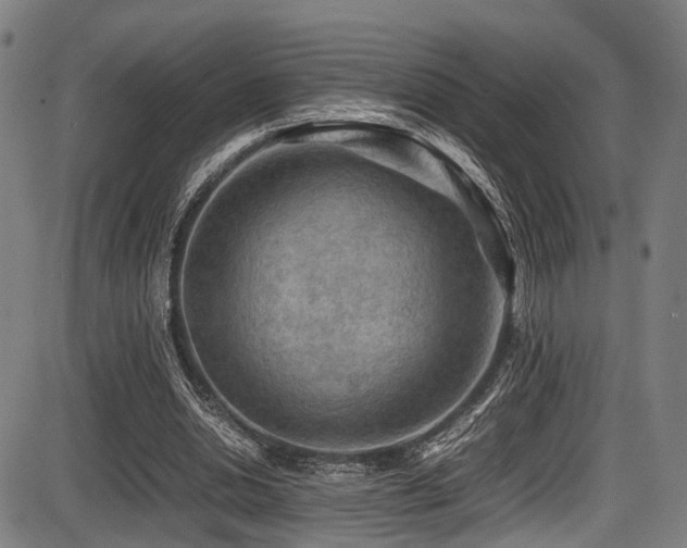 X0000087640438200705031514