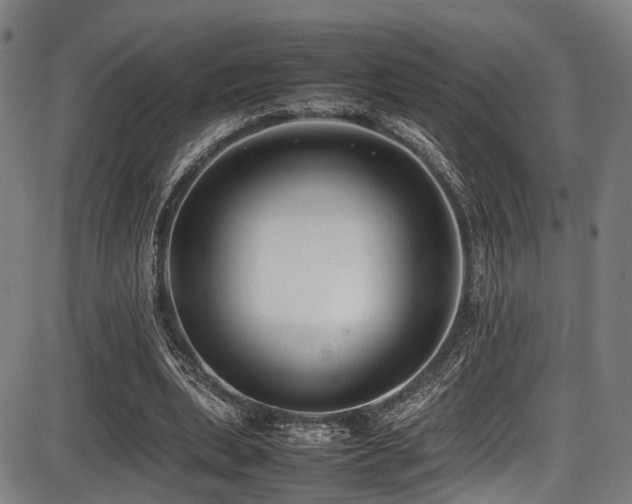 X0000087640439200705031514