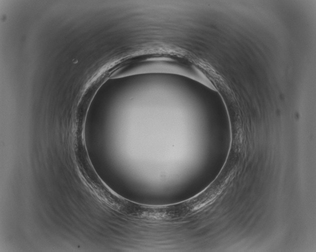 X0000087640440200705031514