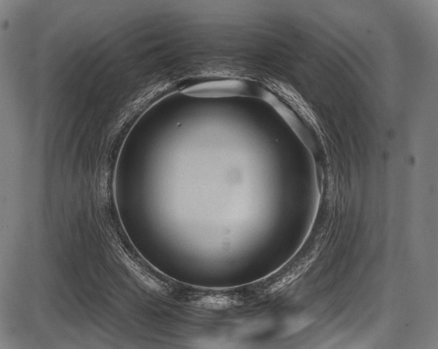 X0000087640441200705031514