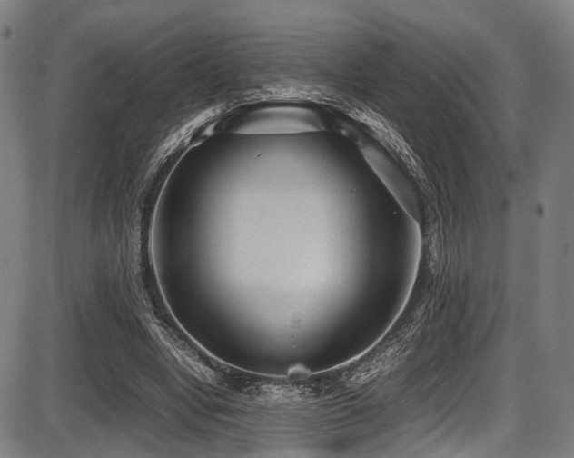 X0000087640442200705031514