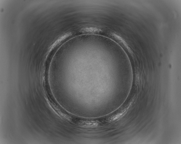 X0000087640443200705031514