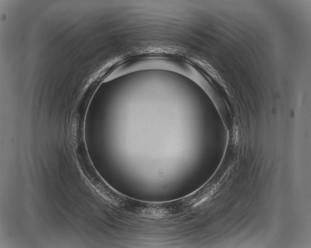 X0000087640444200705031514