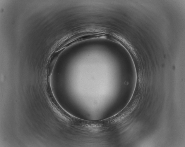 X0000087640445200705031514