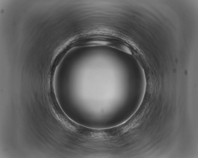 X0000087640446200705031514