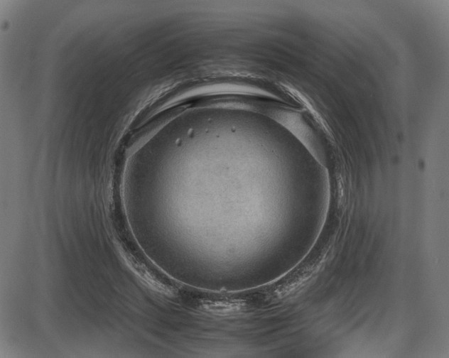 X0000087640447200705031514