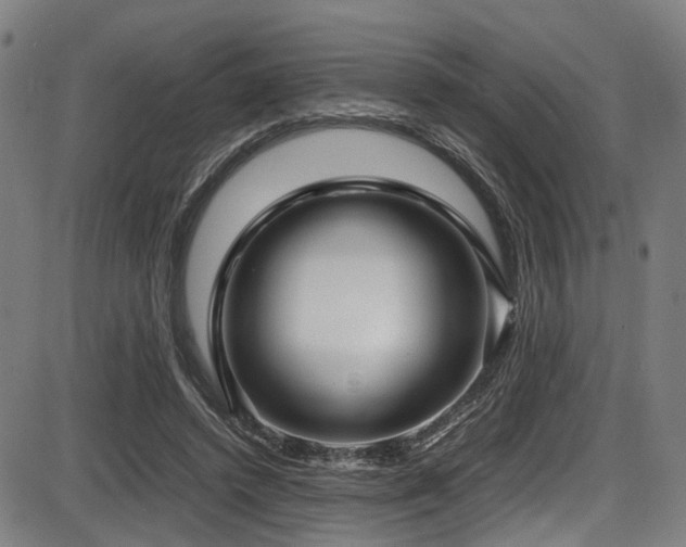 X0000087640448200705031514