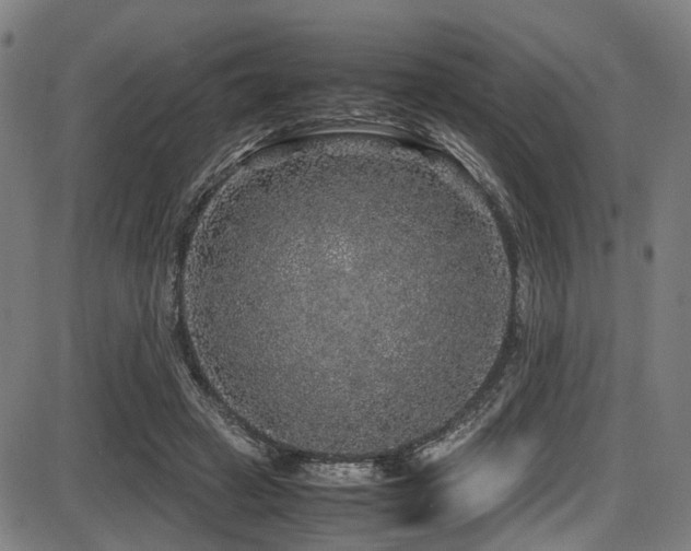 X0000087640449200705031514