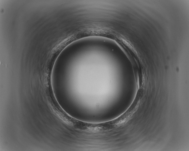 X0000087640450200705031514