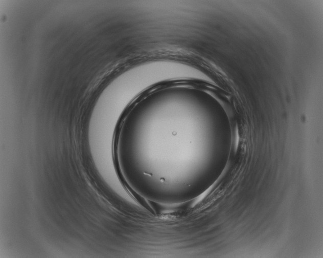 X0000087640452200705031514