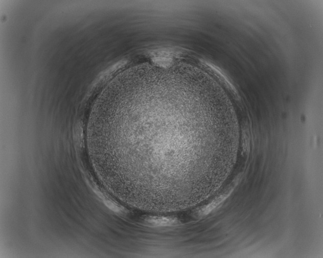 X0000087640453200705031514