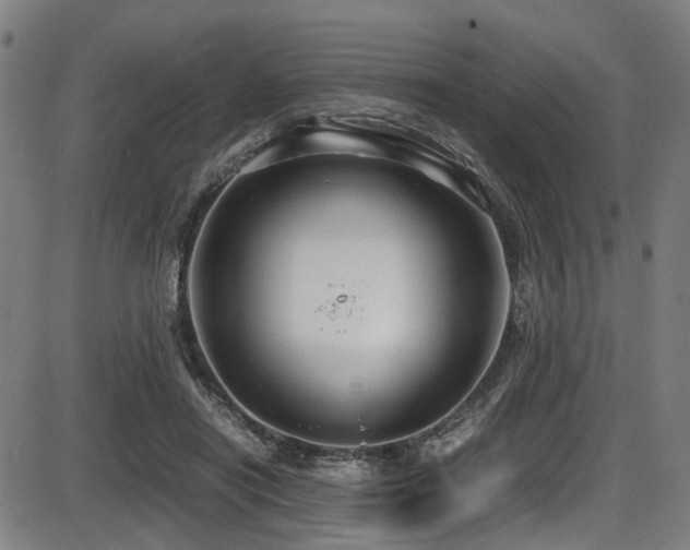 X0000087640454200705031514