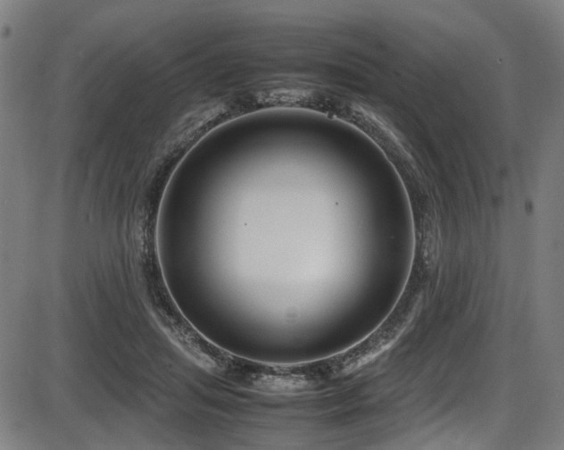 X0000087640455200705031514