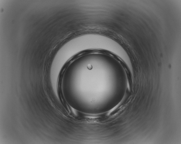 X0000087640456200705031514