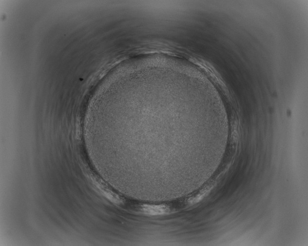 X0000087640457200705031514