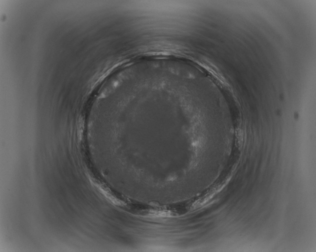 X0000087640458200705031514