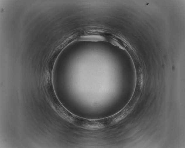 X0000087640459200705031514