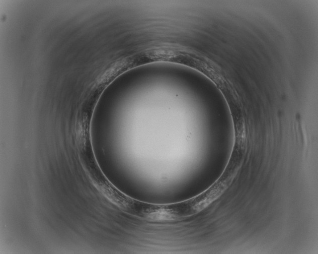 X0000087640460200705031514