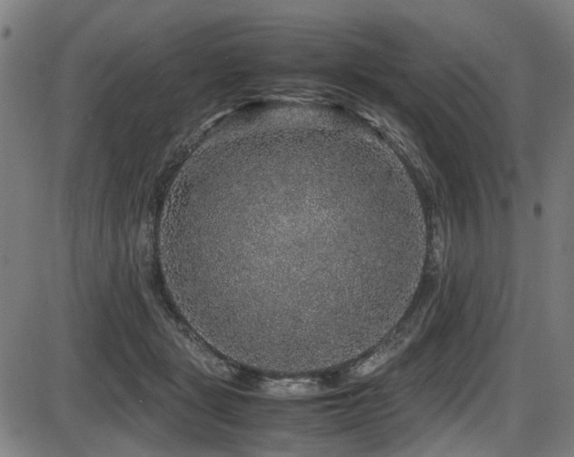 X0000087640461200705031515