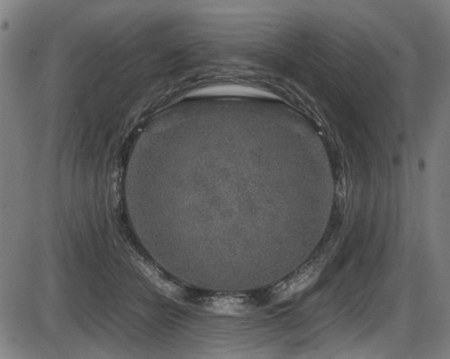 X0000087640462200705031515