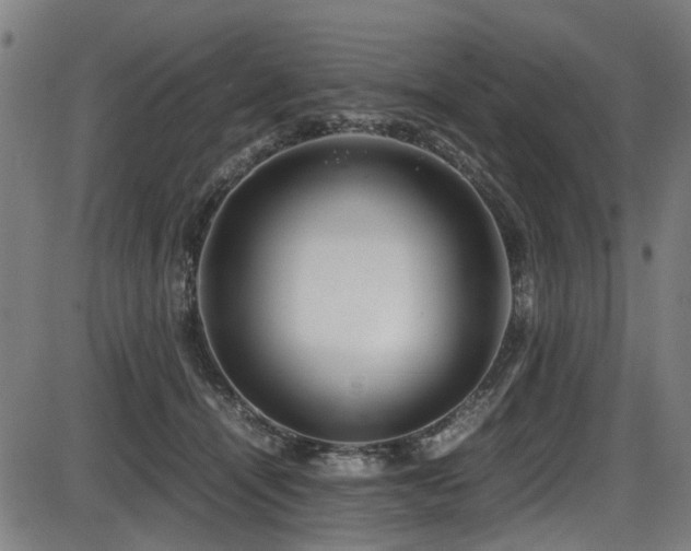 X0000087640464200705031515