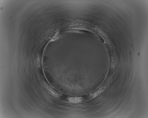 X0000087640465200705031515