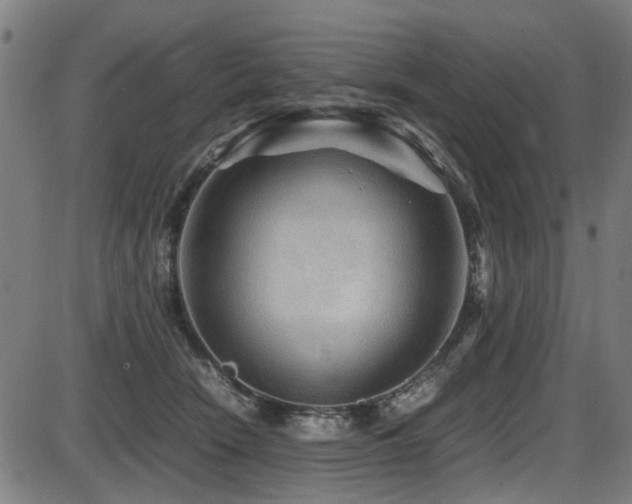 X0000087640466200705031515