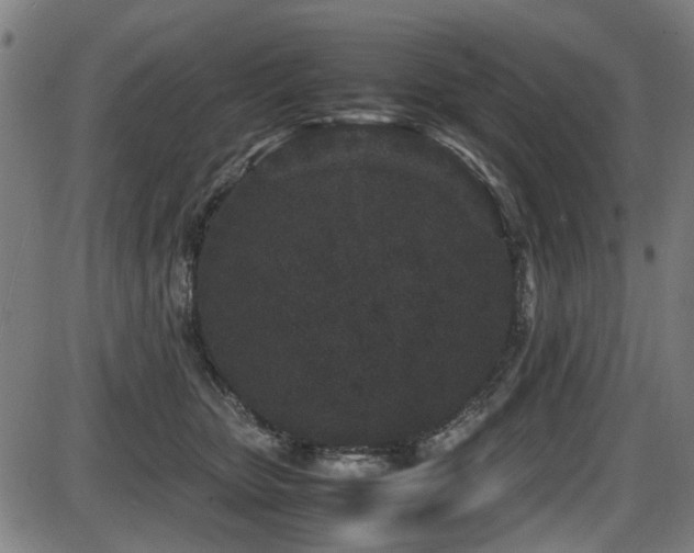 X0000087640467200705031515